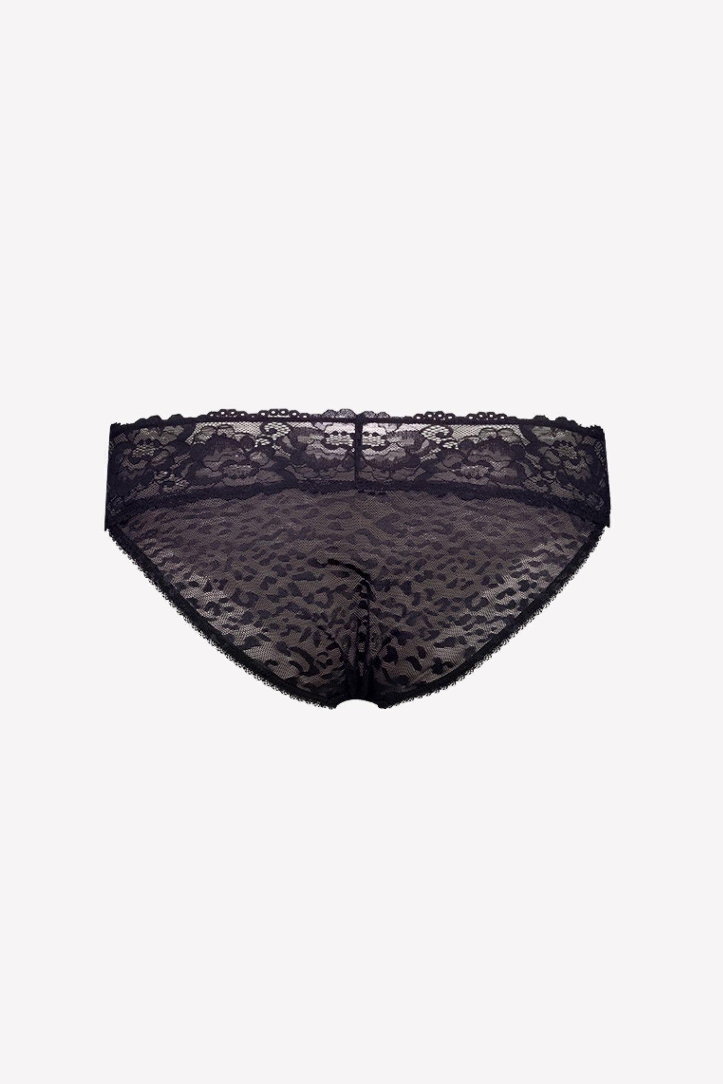 Ava Lace Bikini Brief Black