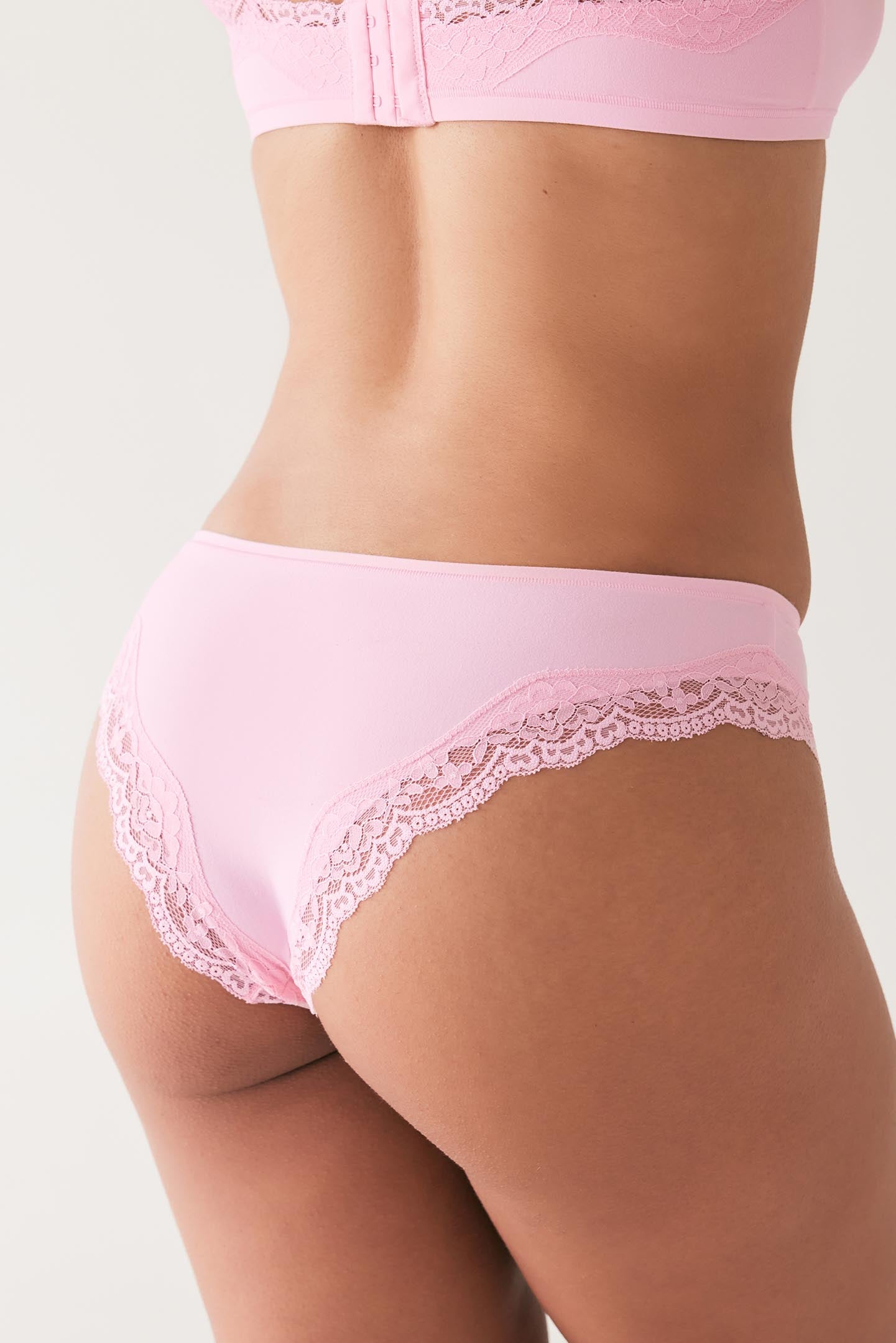 Caterina Brazilian Rose